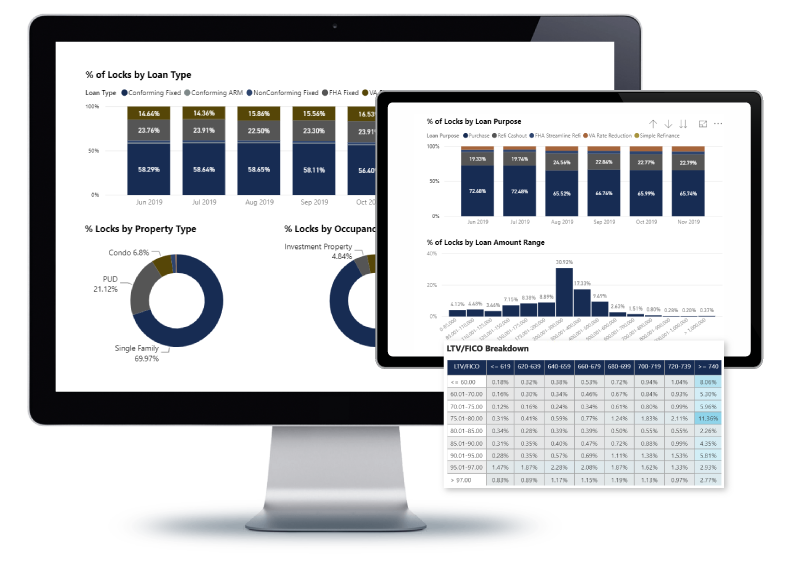 UNDERSTAND BORROWER COMPOSITION