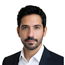 Virtual Economist Avatar