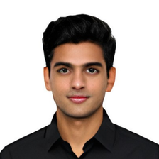 Virtual Economist Avatar